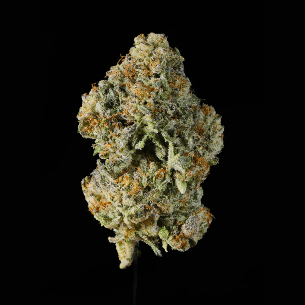 Apple Fritter THCA Flower - Image 6