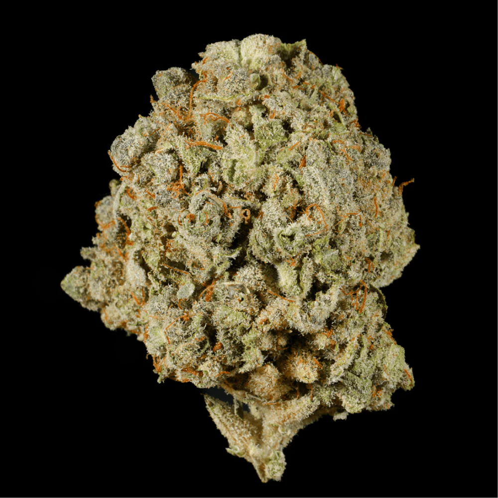 Apple Pie THCA Flower - Image 2