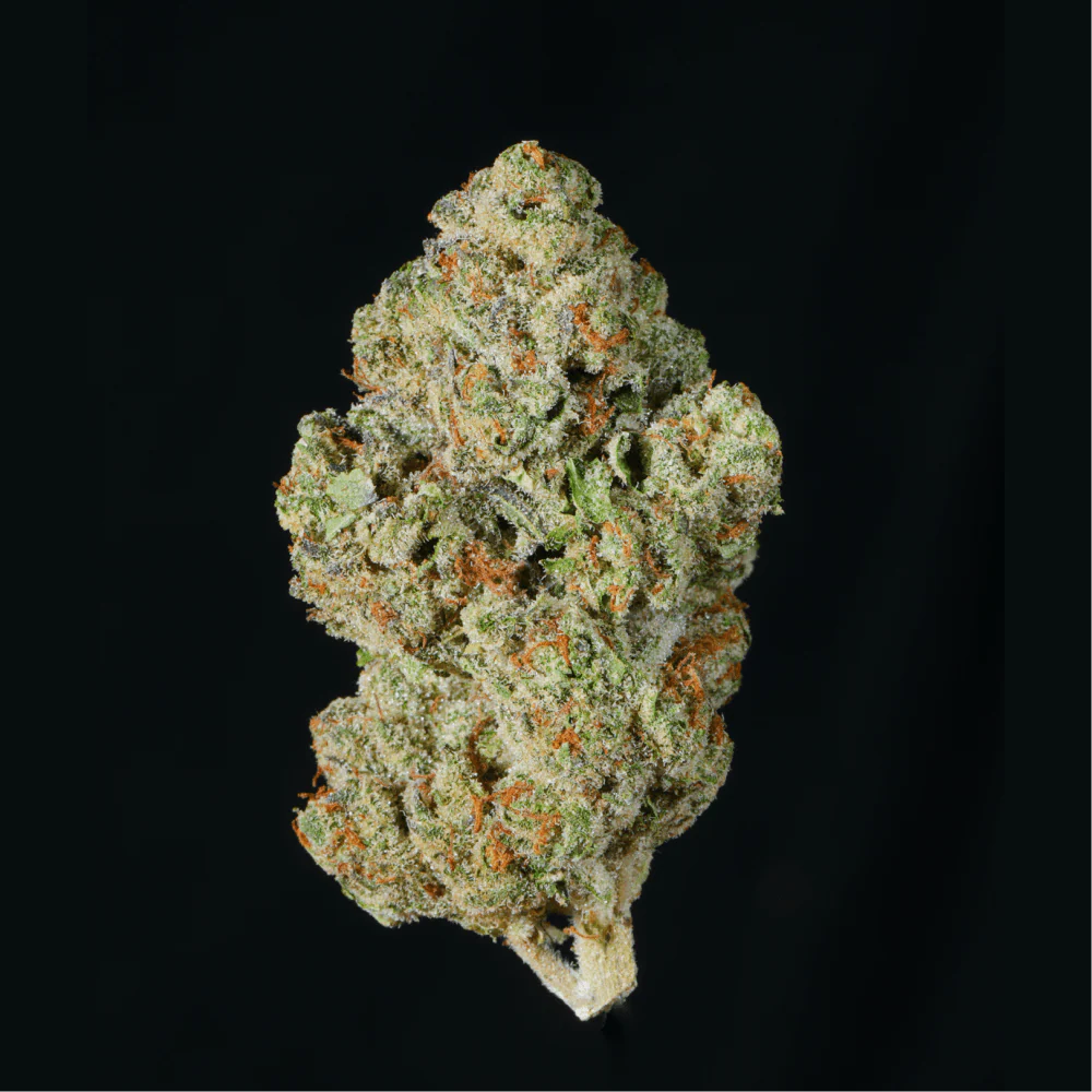Apple Pie THCA Flower - Image 3