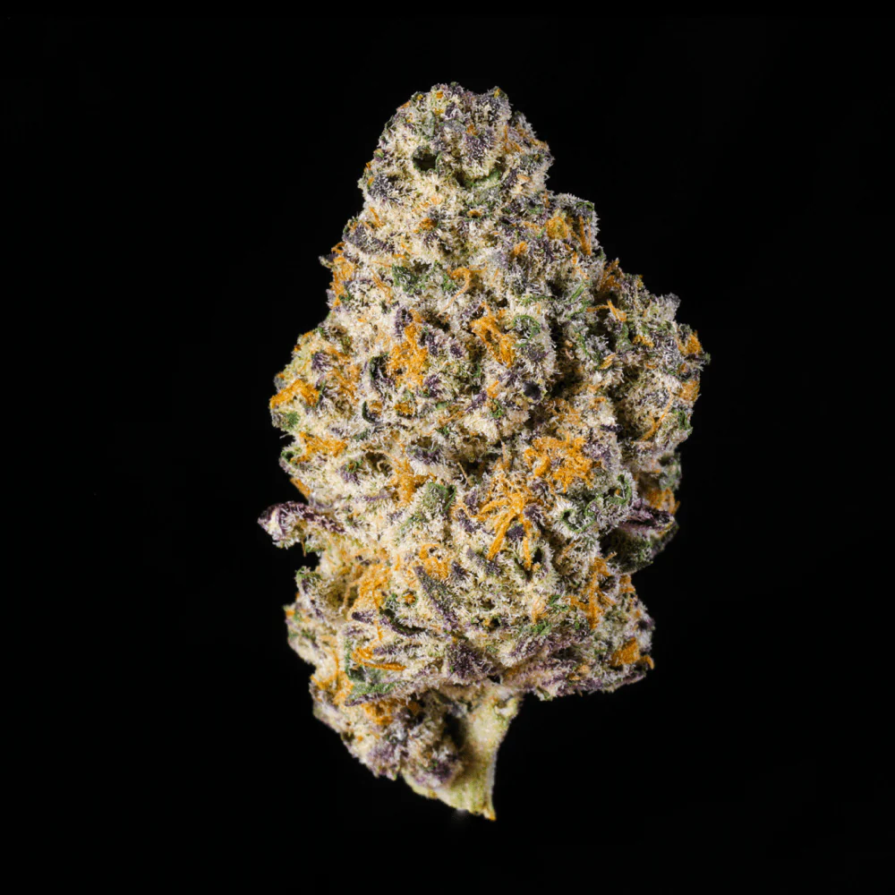 Baccio Gelato THCA Flower - Image 2