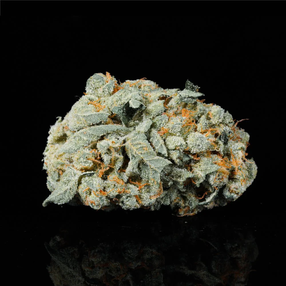 Baccio Gelato THCA Flower - Image 3