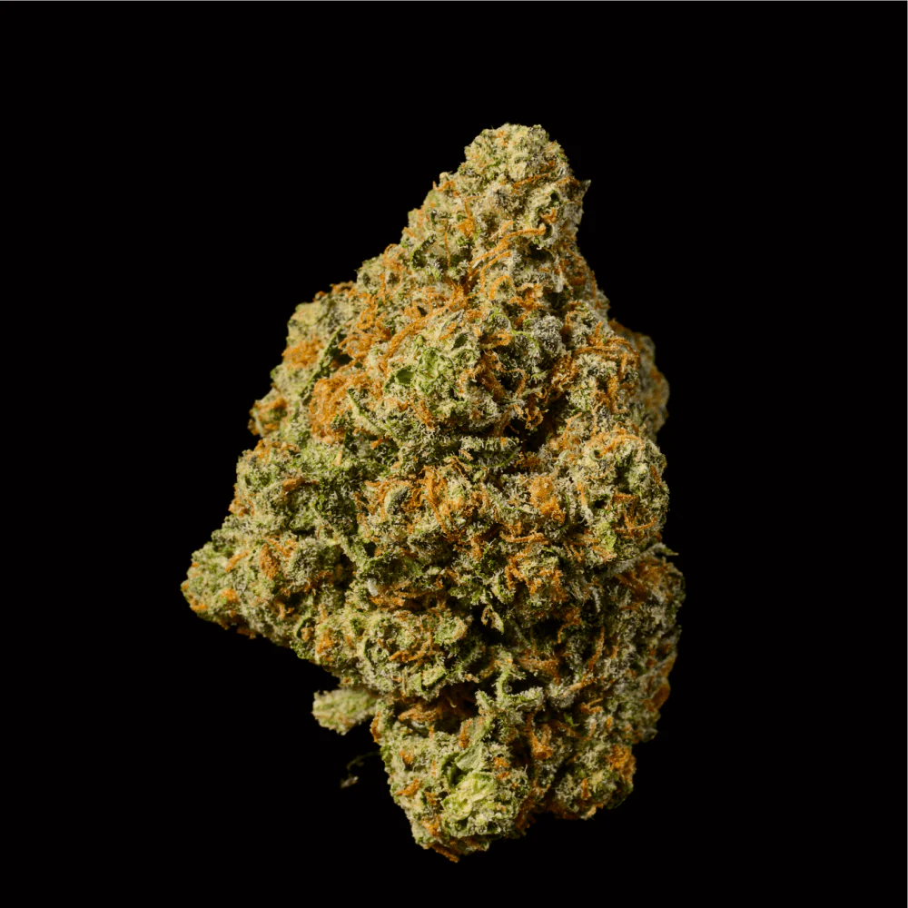 Banana Cream Pie THCA Flower - Image 2