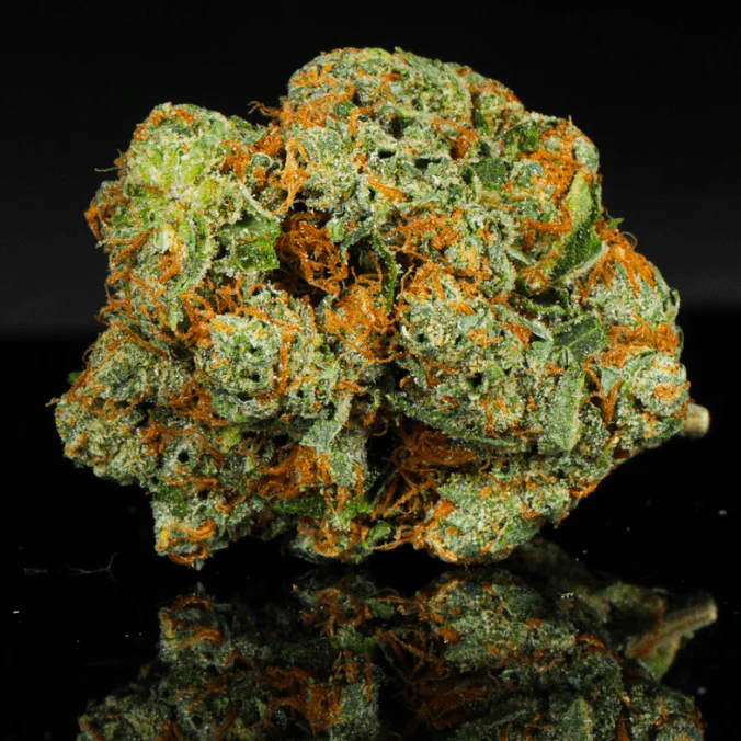 Biscotti Kush THCA Flower - Image 2