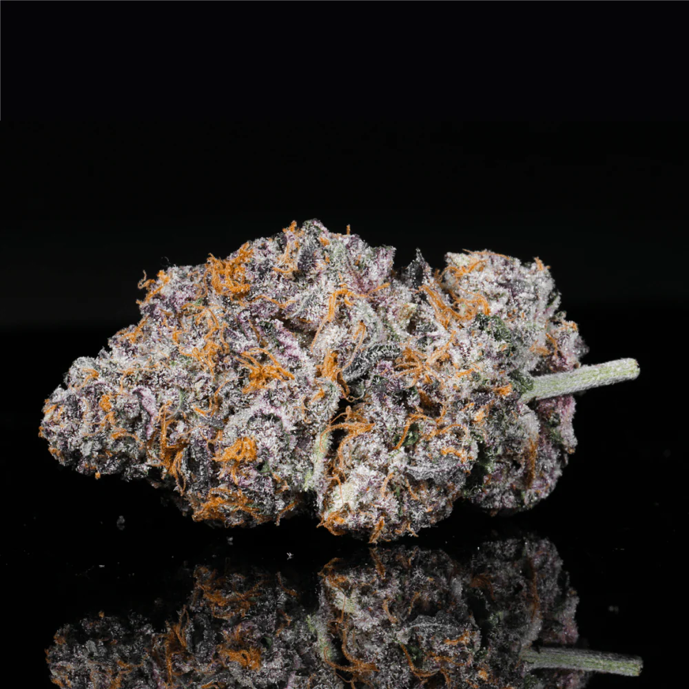 Biscotti THCA Flower - Image 5