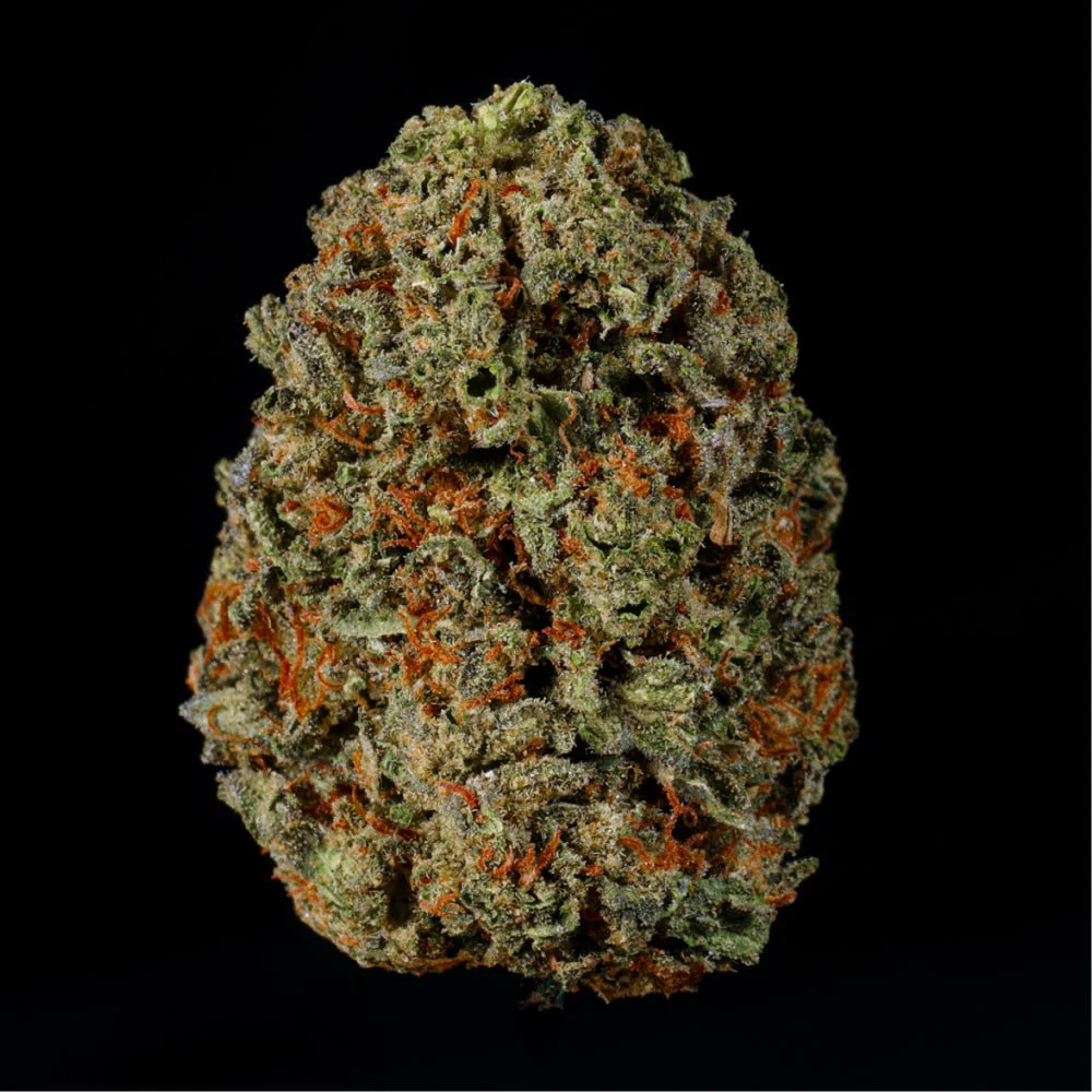 Black Cherry Gelato THCA Flower - Image 5