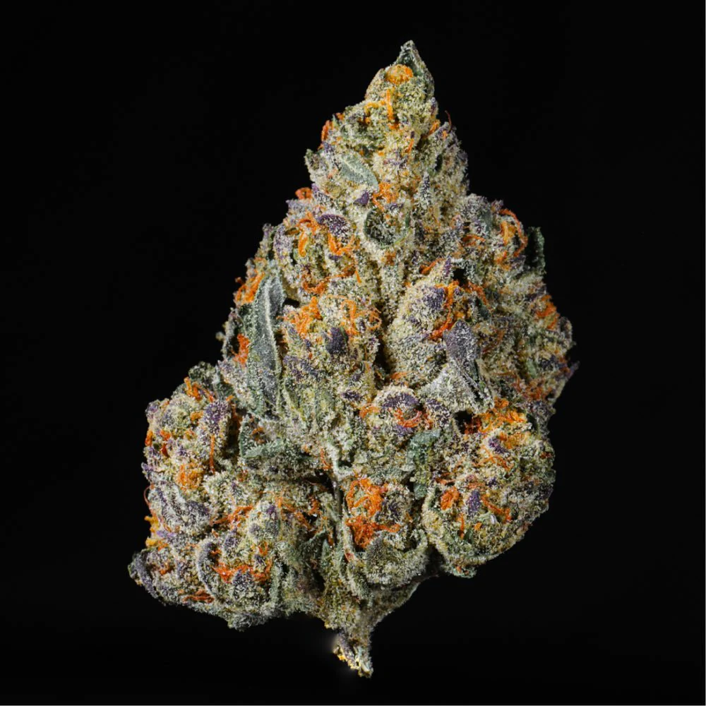Black Cherry Gelato THCA Flower - Image 6