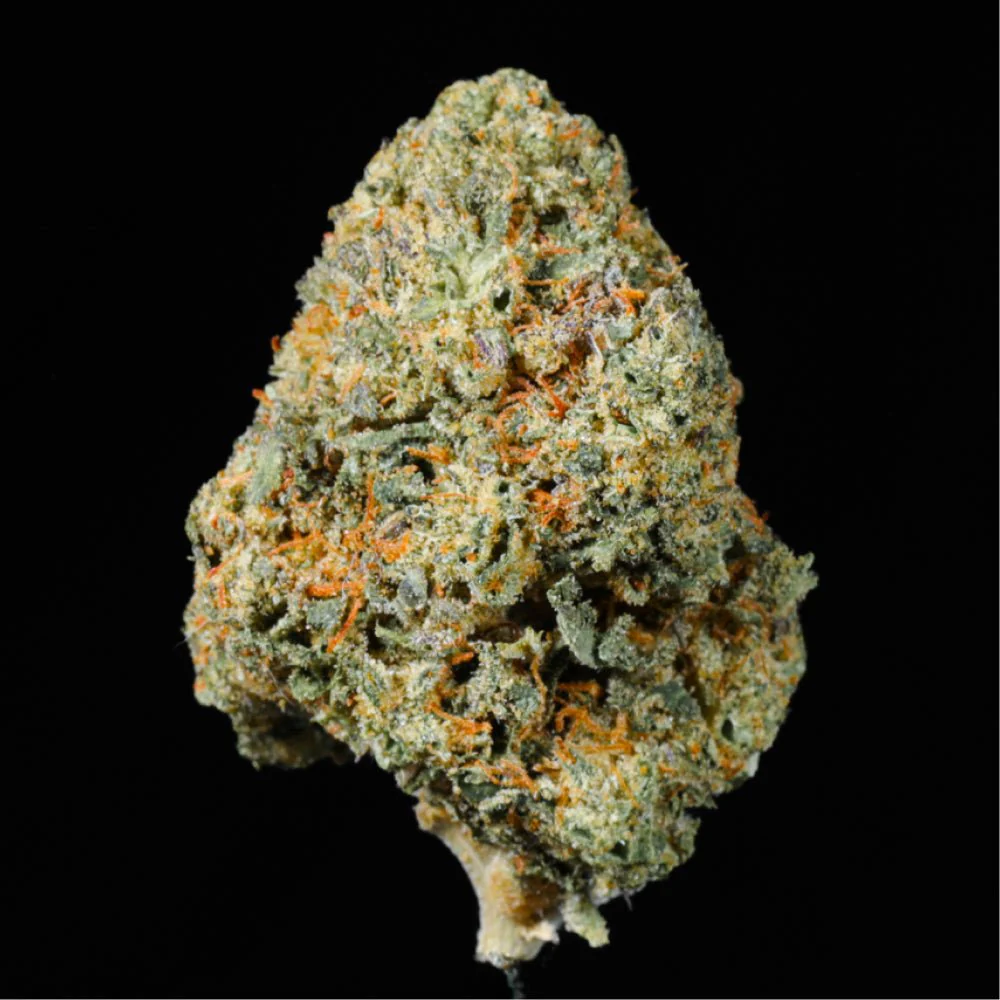 Blue Halo THCA Flower - Image 3