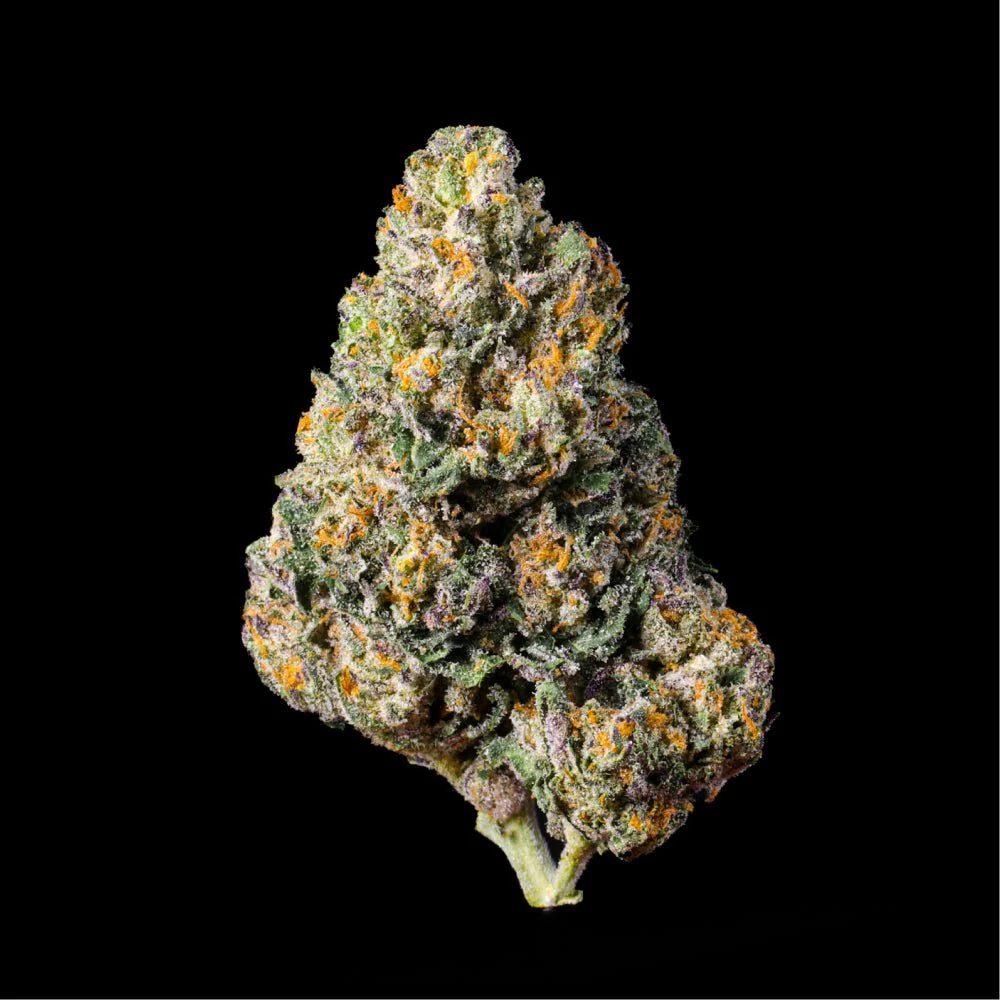 Blue Pressed THCA Flower - Image 3