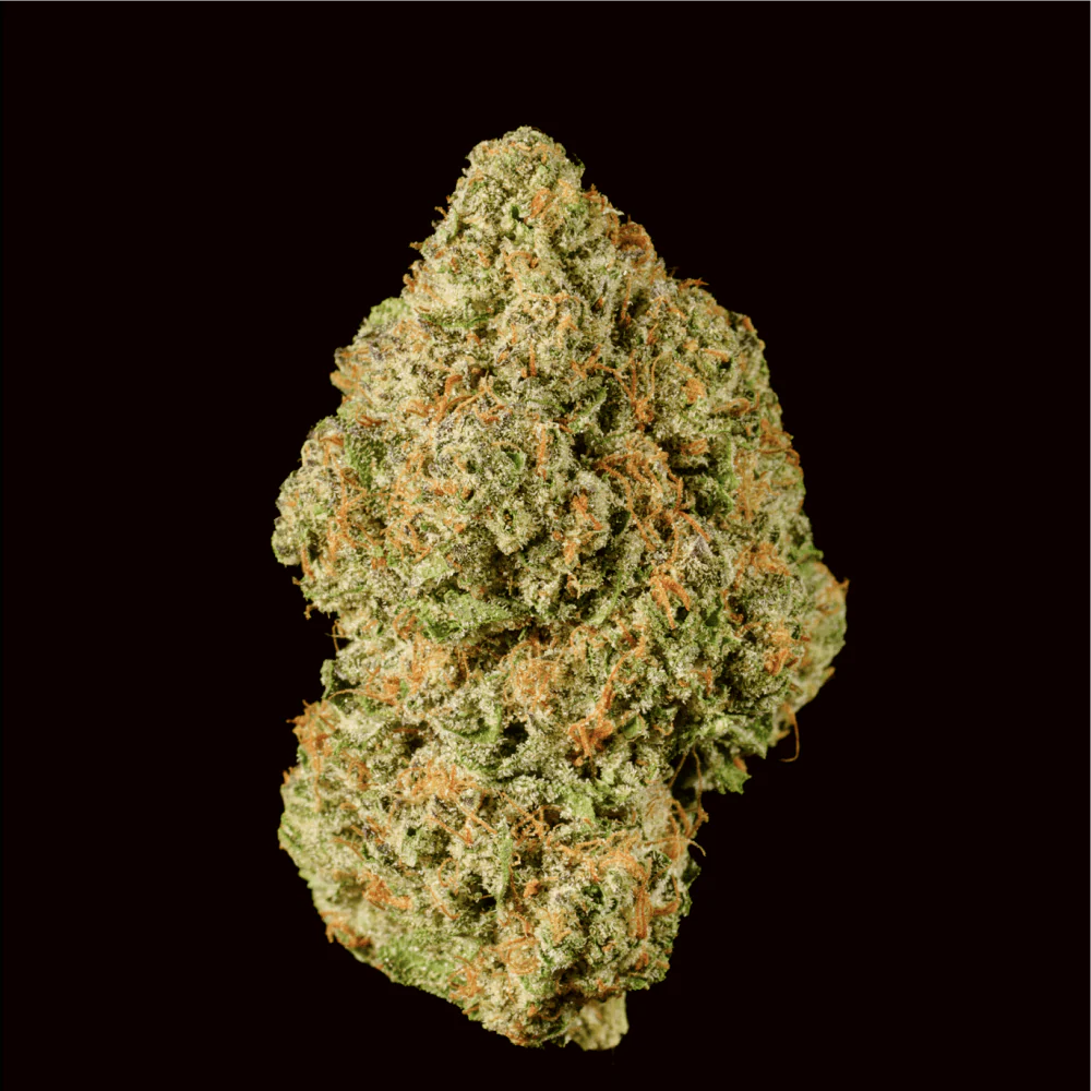 Blueberry Muffin THCA Flower - Image 2