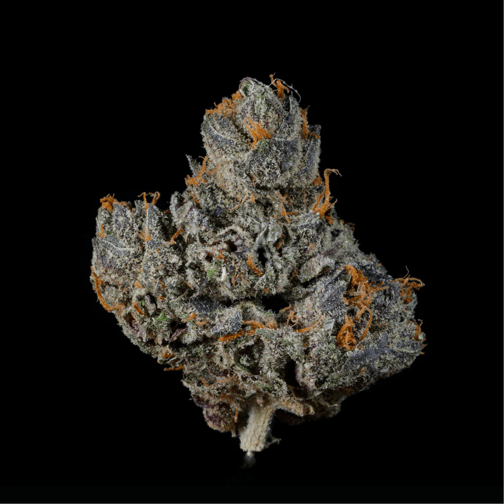 BOLO Runtz THCA Flower - Image 3