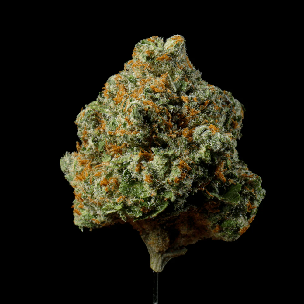 Bubble Bath THCA Flower - Image 5