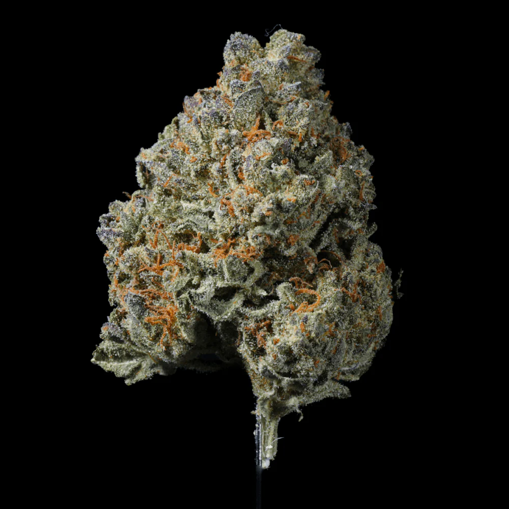 Candi Paint THCA Flower - Image 5