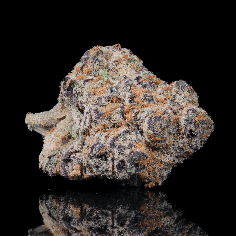 Crotch Rocket THCA Flower - Image 2