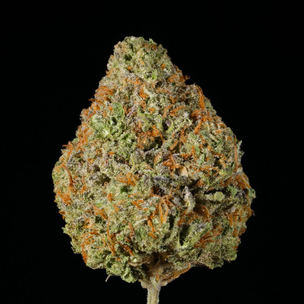 Crotch Rocket THCA Flower - Image 4