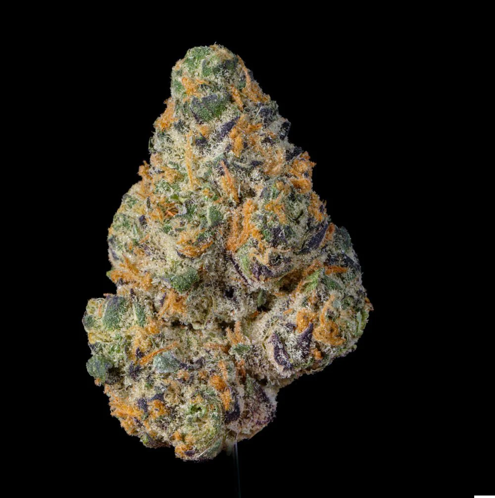 Fat Kitty THCA Flower