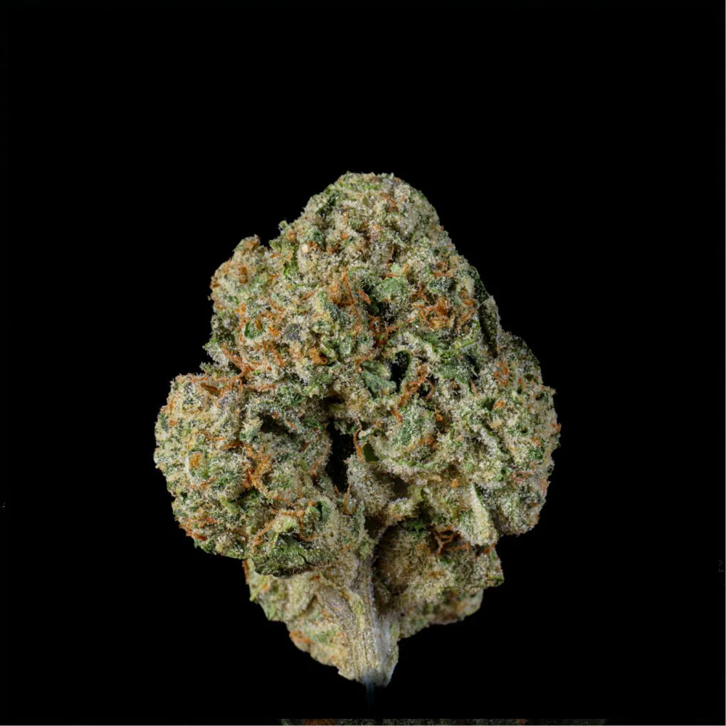 Fee Runtz THCA Flower - Image 4