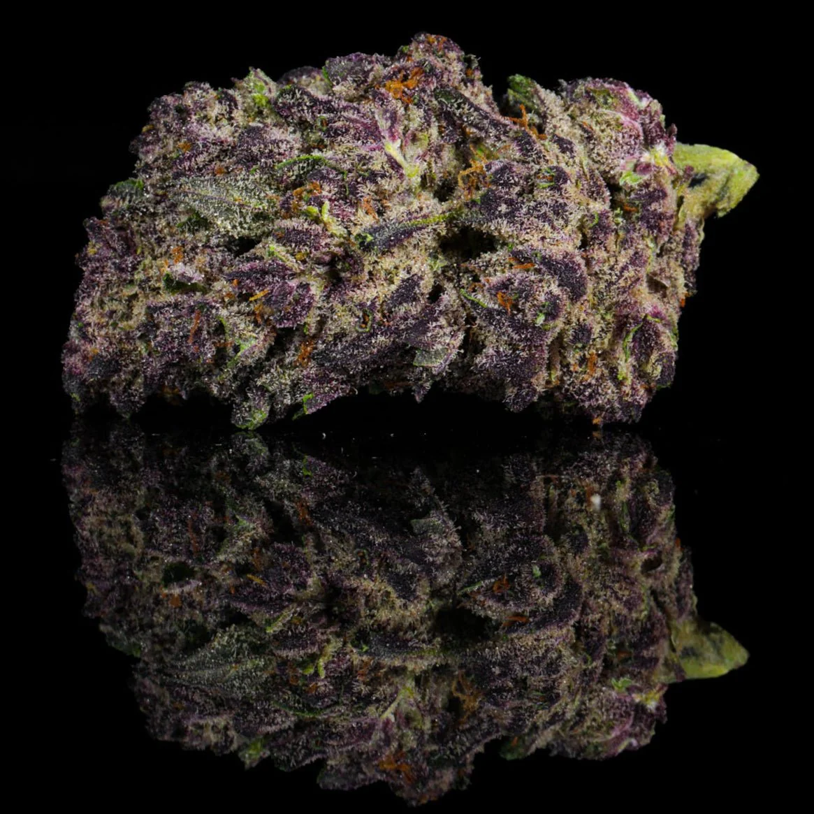 Forbidden Fruit THCA Flower - Image 2