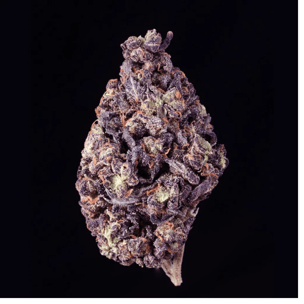 Forbidden Fruit THCA Flower - Image 3