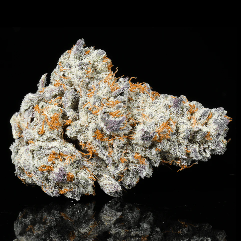 Frozen Lemonade THCA Flower - Image 3