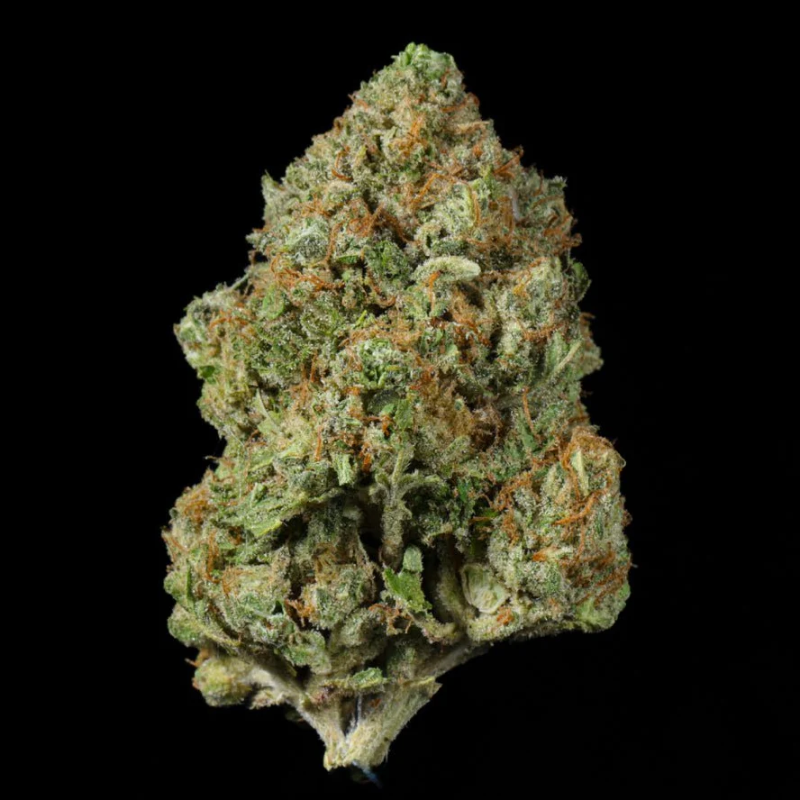 Gary OG THCA Flower - Image 2