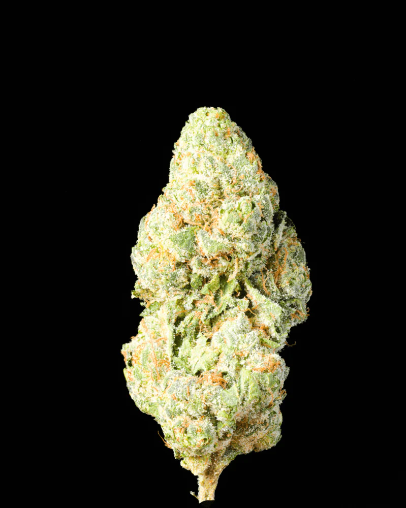 Gelato #33 THCA Flower - Image 3