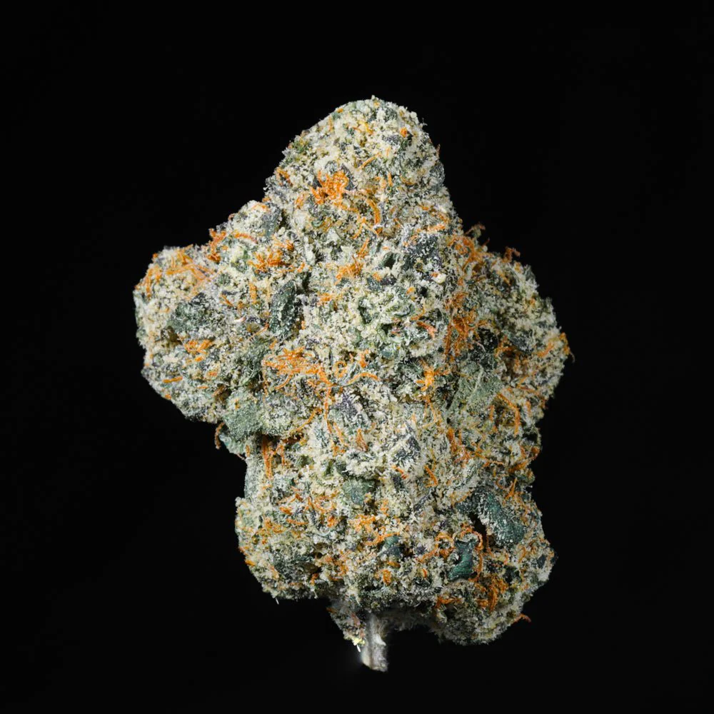 Gelato #33 THCA Flower - Image 4