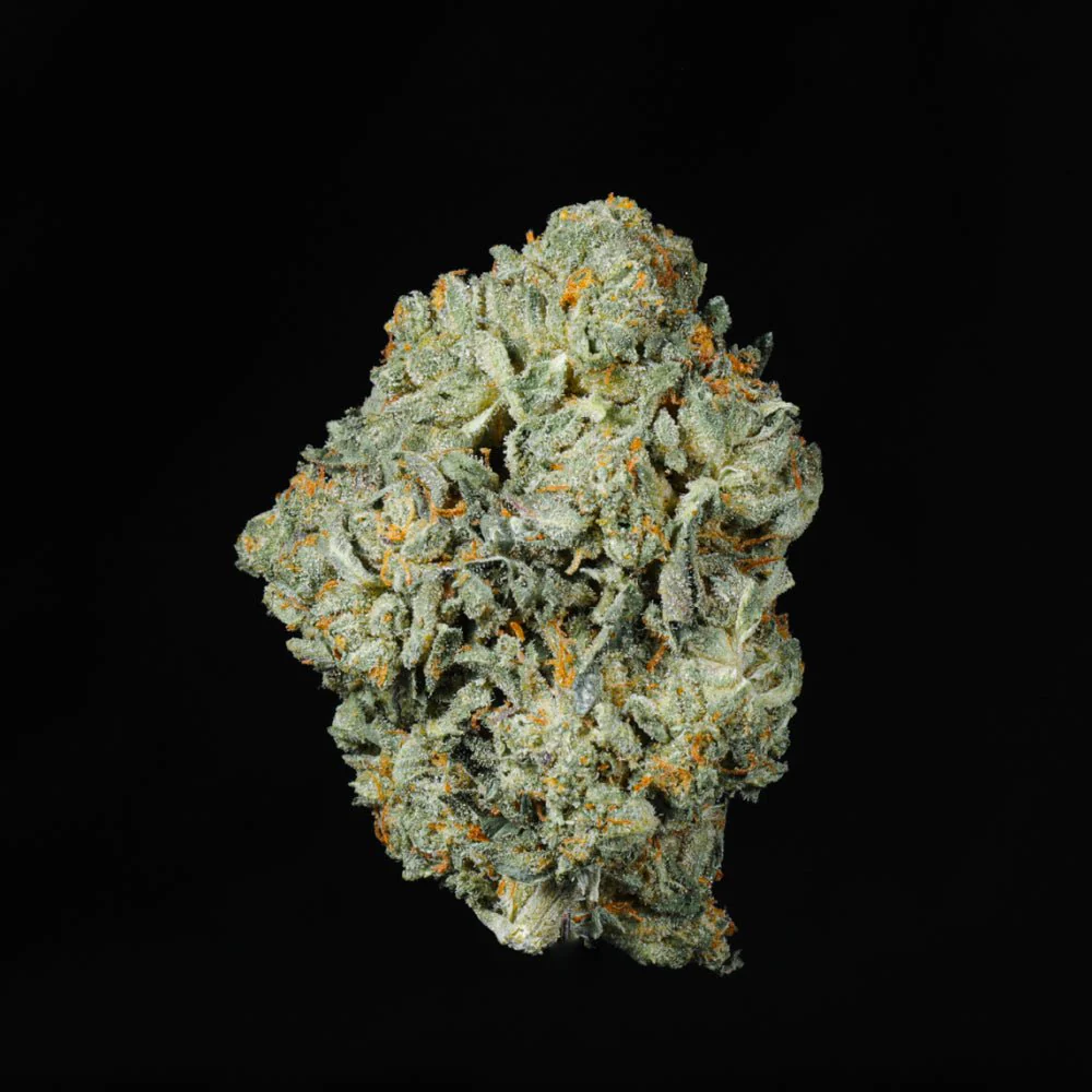 Gelato #33 THCA Flower - Image 5