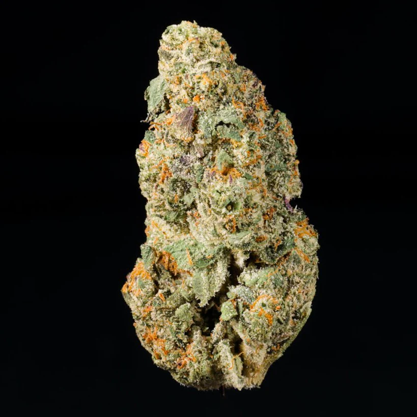 Gelato #41 THCA Flower - Image 3