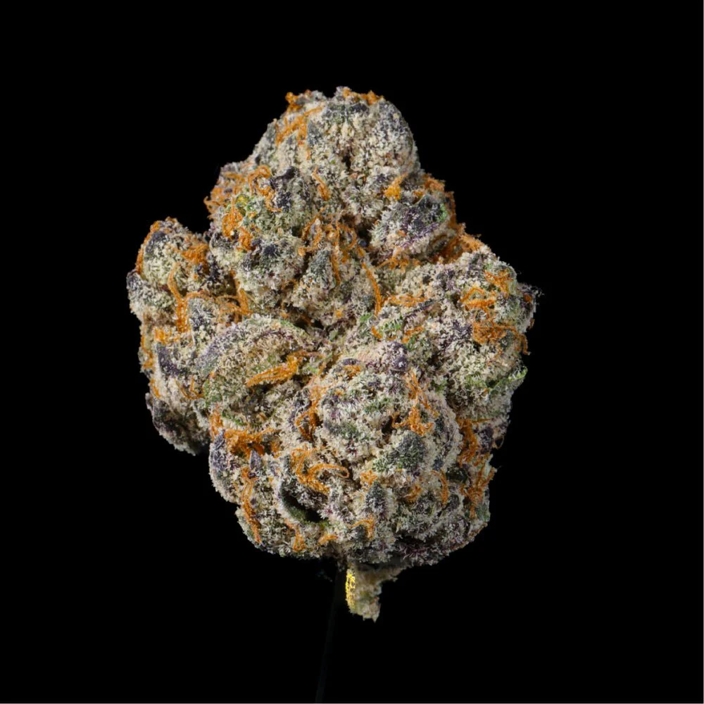 Gelato Ice THCA Flower - Image 5