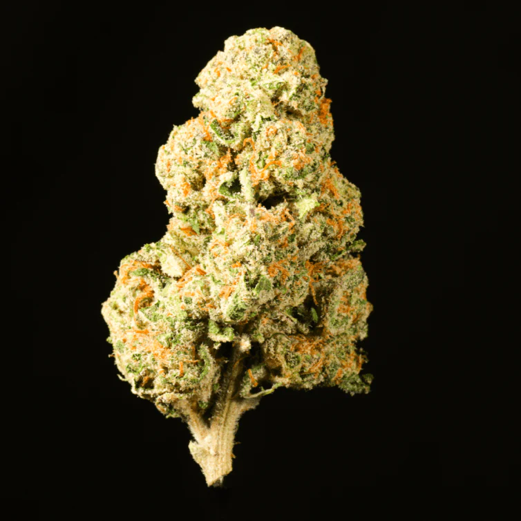 Gelato THCA Flower - Image 3