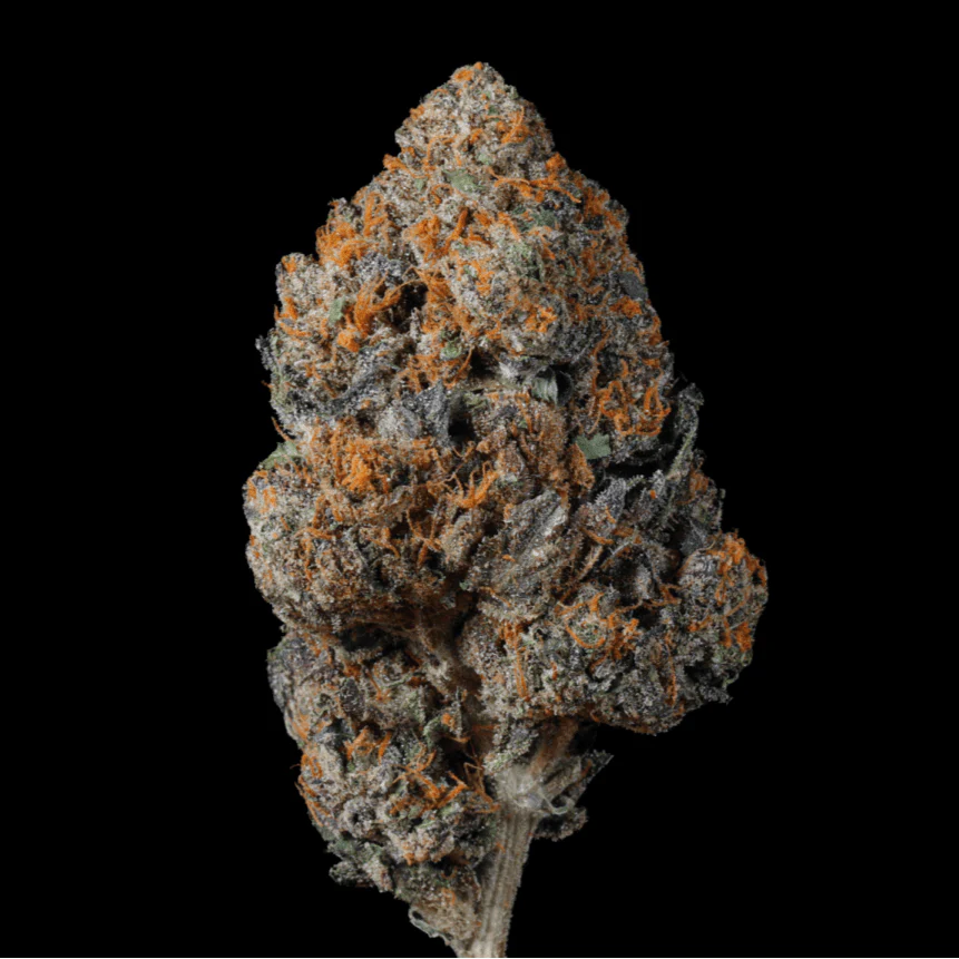 Glitter Bomb THCA Flower - Image 5