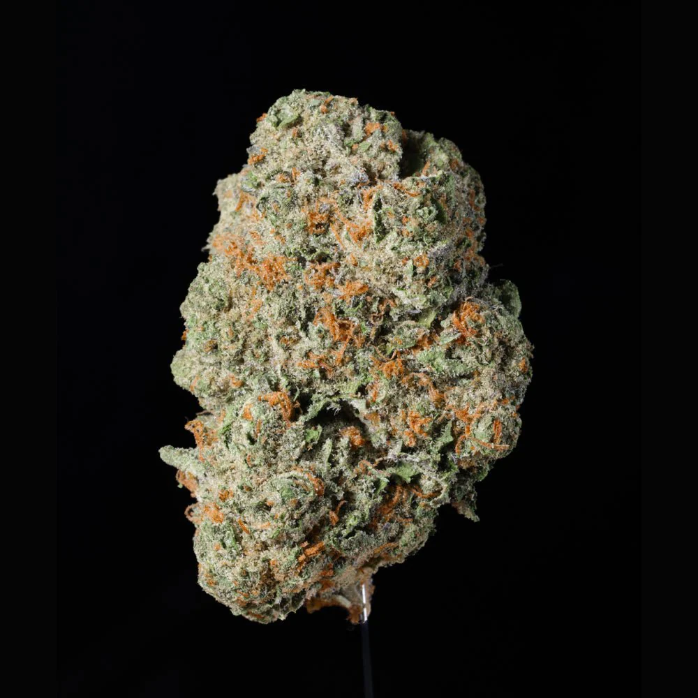 Glitter Bomb THCA Flower - Image 6