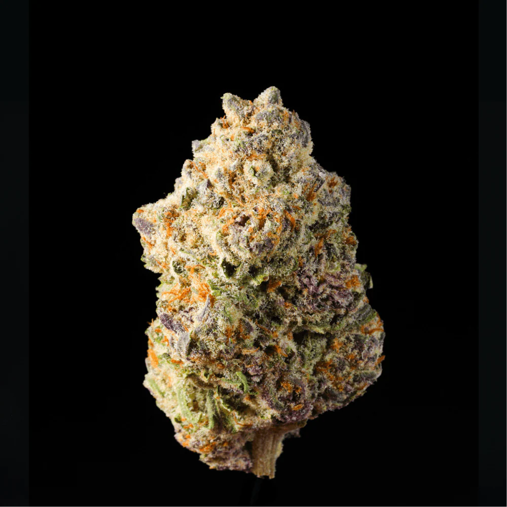 Government Oasis THCA Flower - Image 4