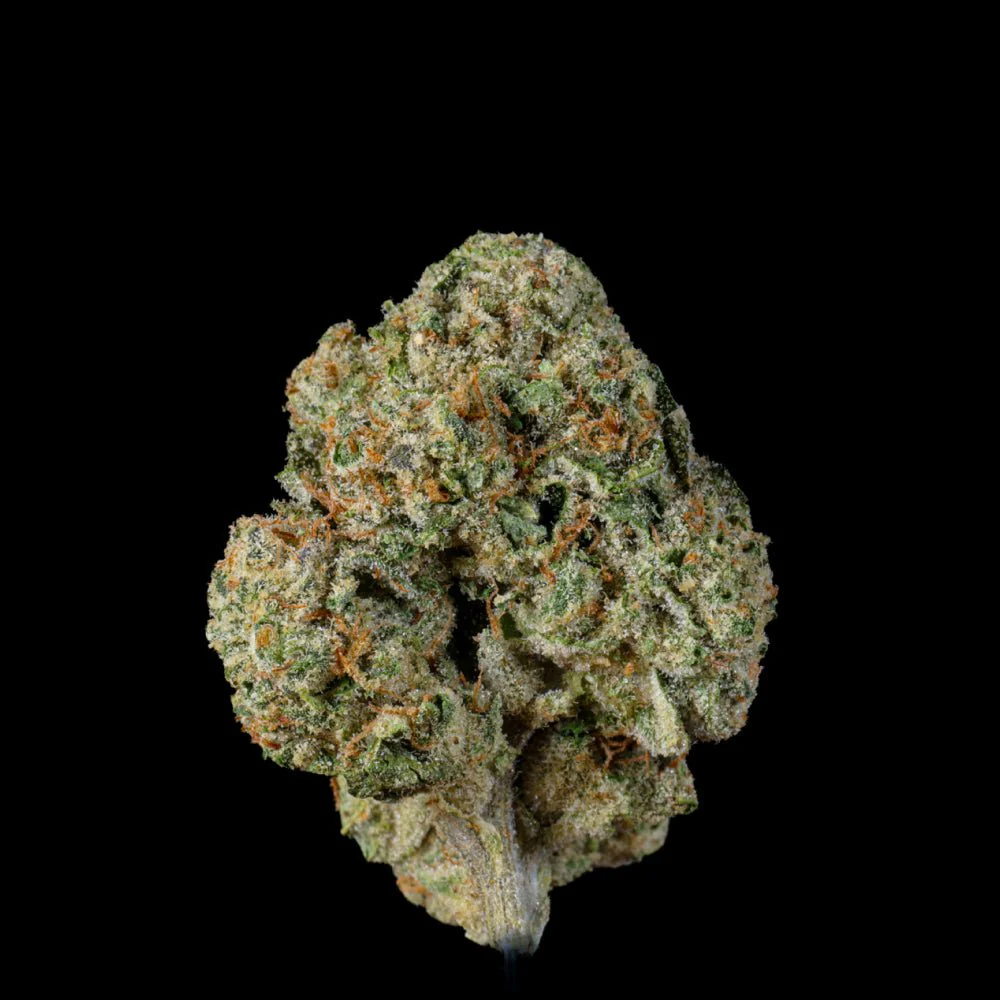 Grape Zest THCA Flower - Image 4
