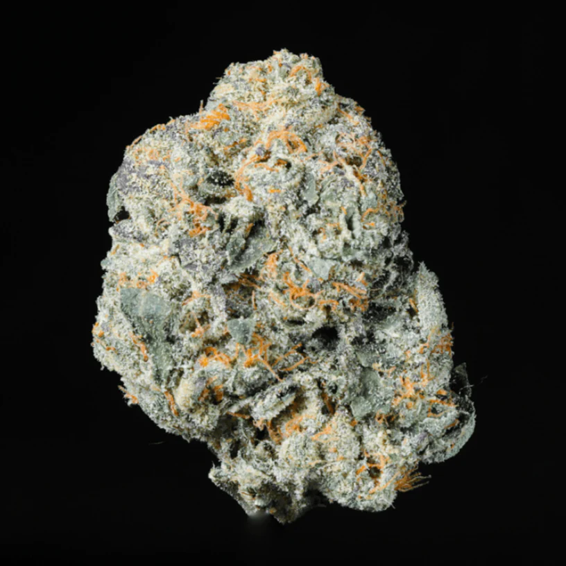 Hashburger THCA Flower - Image 2