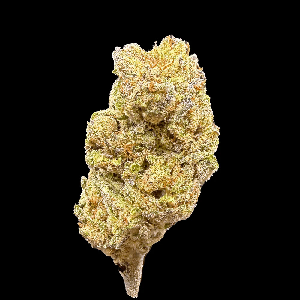 Hashburger THCA Flower - Image 3