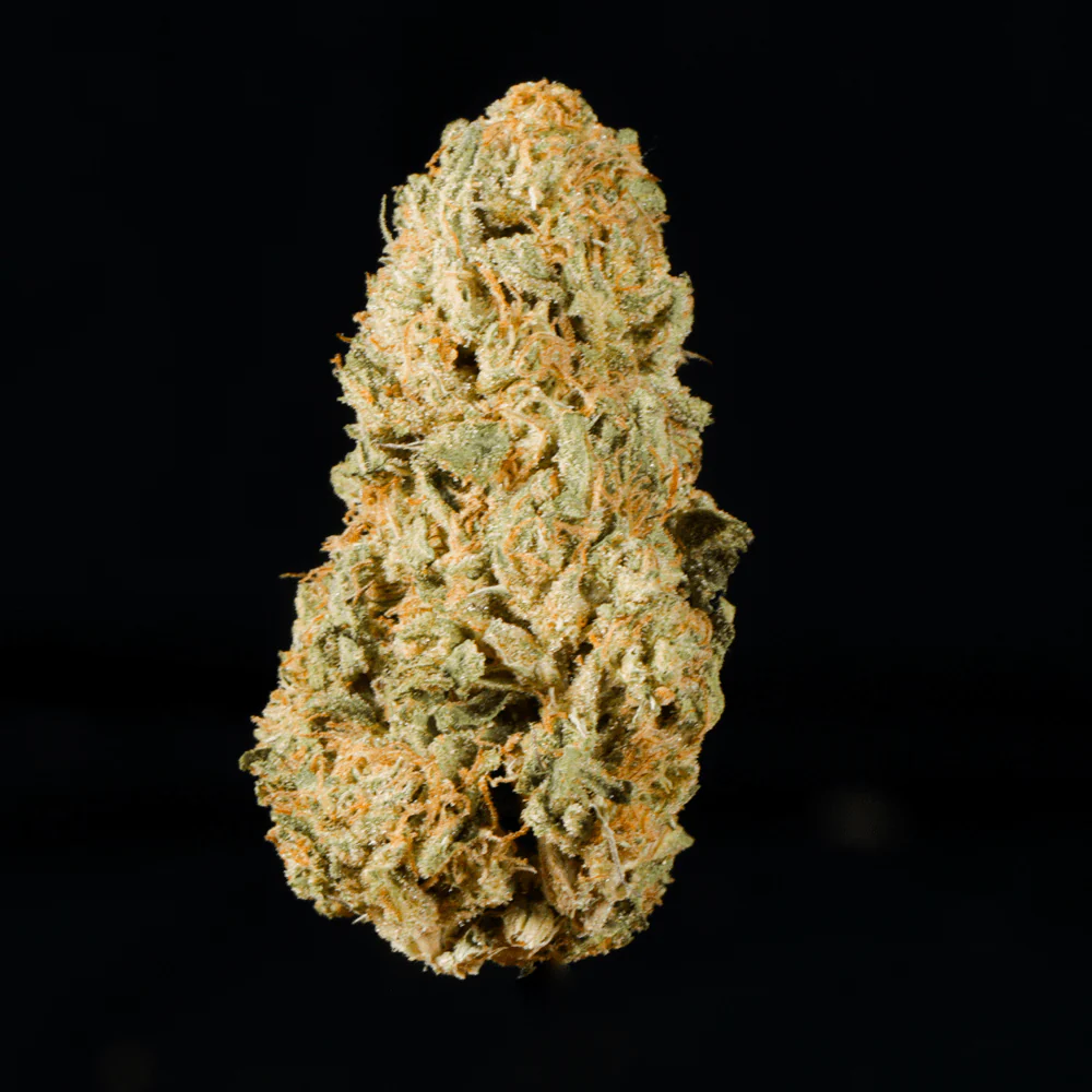 Highlighter THCA Flower - Image 4