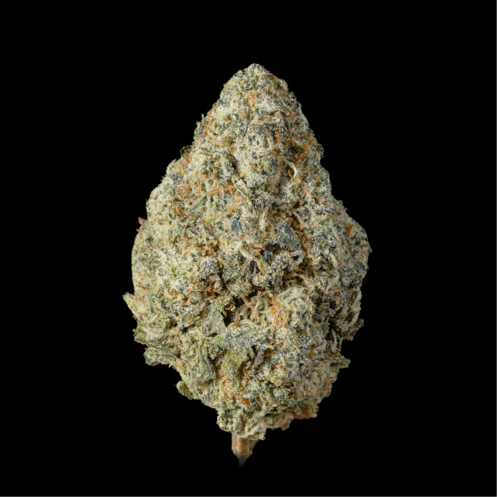 Jack Herer THCA Flower - Image 2