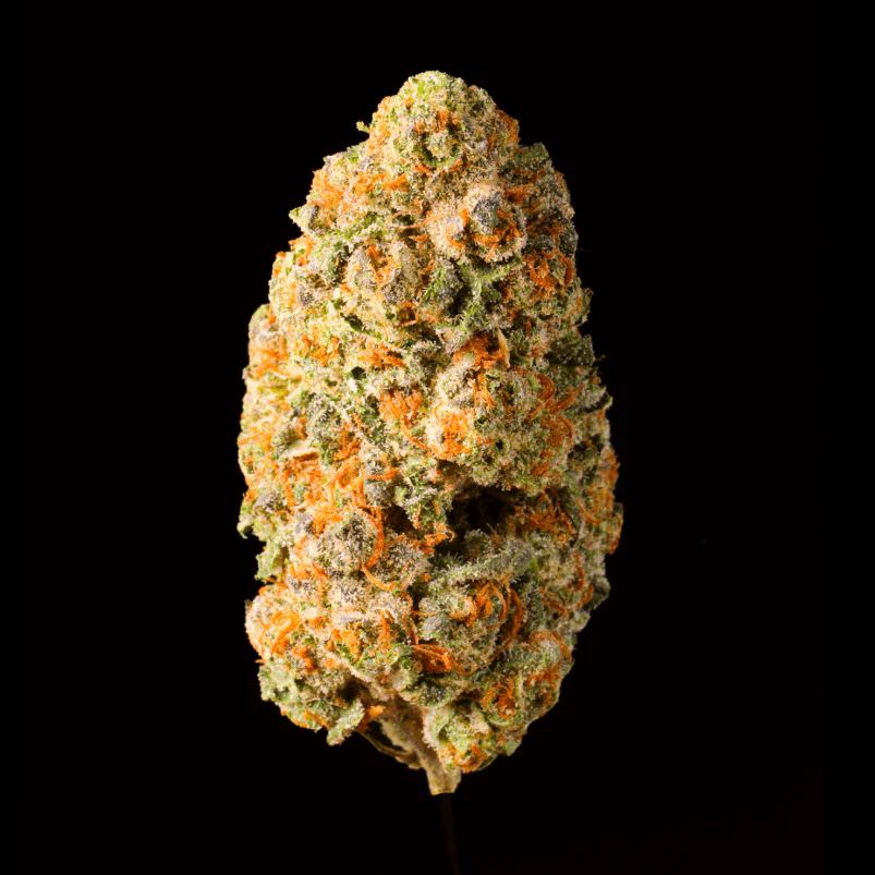 Jelly Donut THCA Flower - Image 2