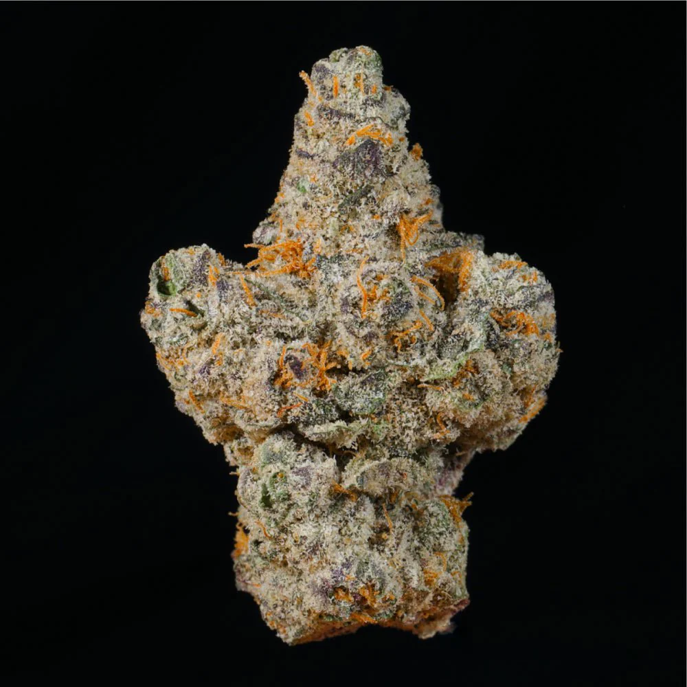 Lemon Cake THCA Flower - Image 2