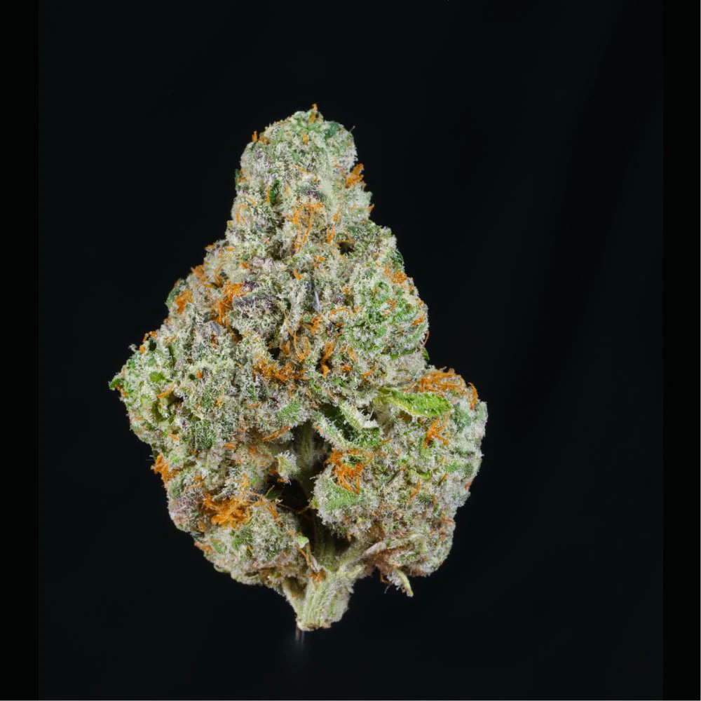 Lemon Snowman THCA Flower - Image 2