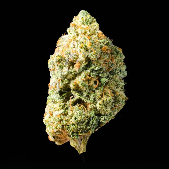Lobster Butter THCA Flower - Image 2
