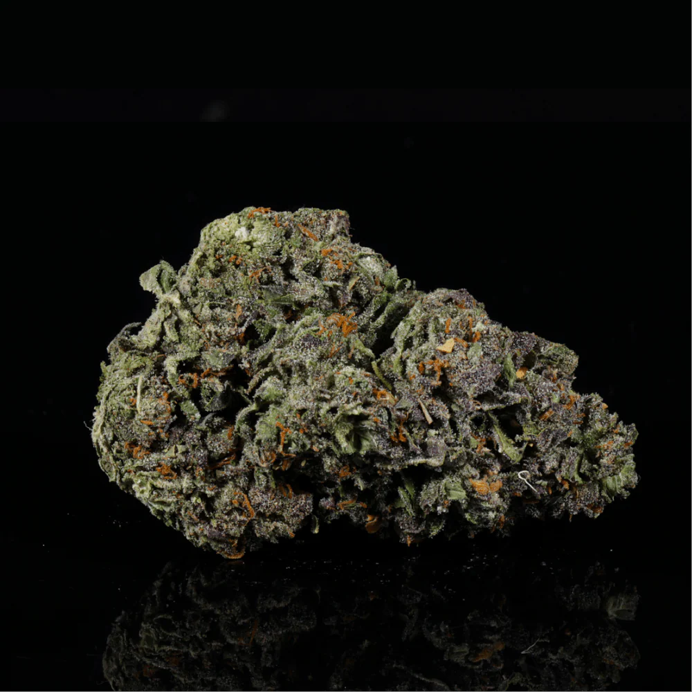 Notorious OG THCA Flower - Image 3