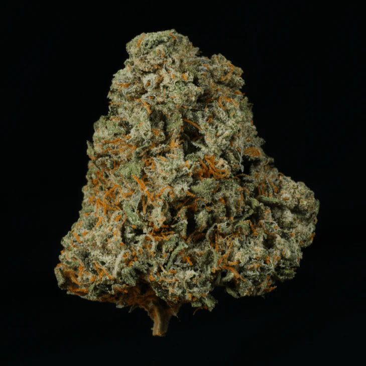 Notorious OG THCA Flower - Image 4
