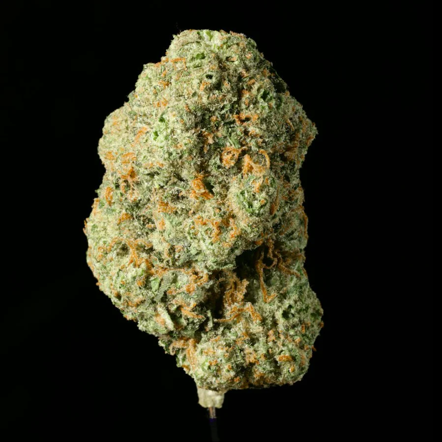 Obama Runtz THCA Flower - Image 4