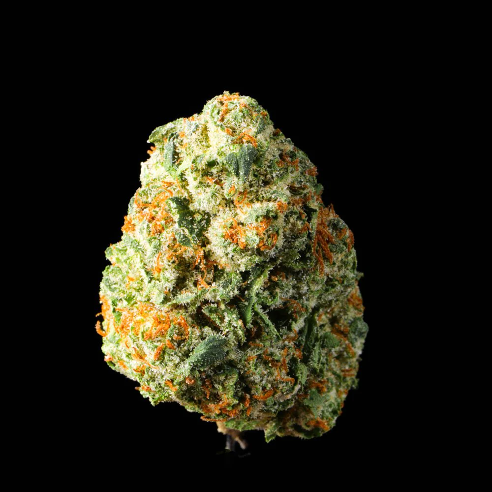 Pave THCA Flower - Image 5
