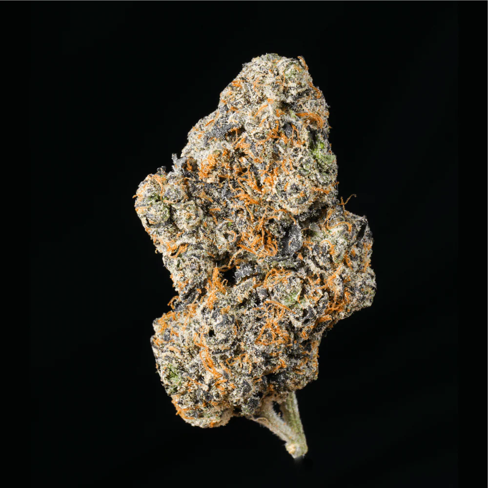 Petrol Pie THCA Flower - Image 7