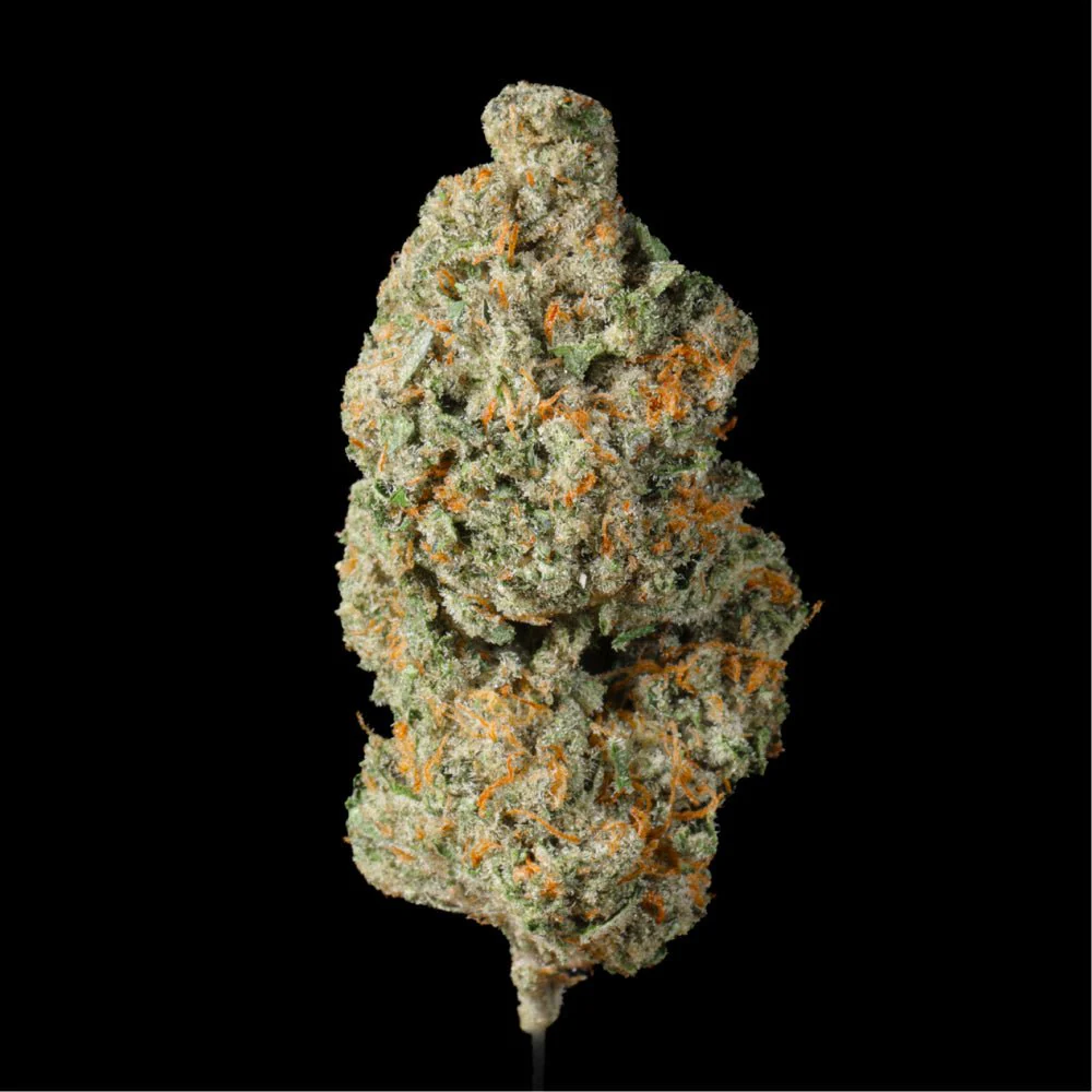 Pineapple Zoap THCA Flower - Image 3