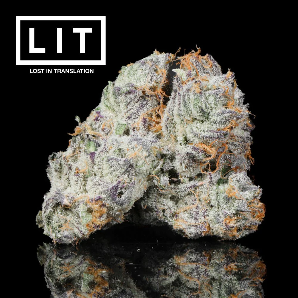 Pink Kitty THCA Flower - Image 3