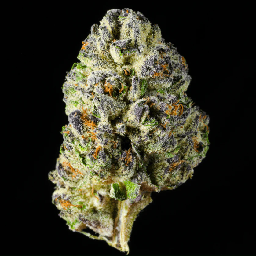Rainbow Sherbert THCA Flower